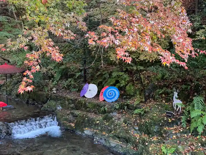 貴船神社結社(京都府)