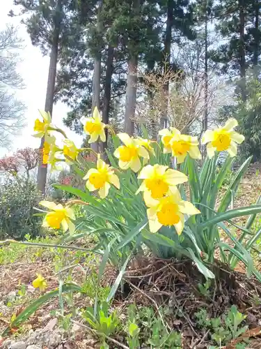 白狐山光星寺(山形県)