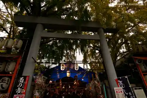 波除神社（波除稲荷神社）の鳥居