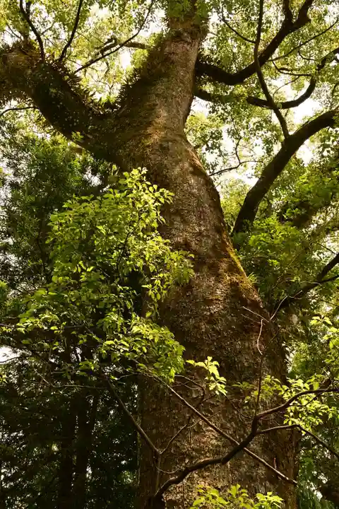 土佐神社(高知県)