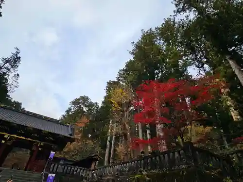 日光山輪王寺 大猷院(栃木県)