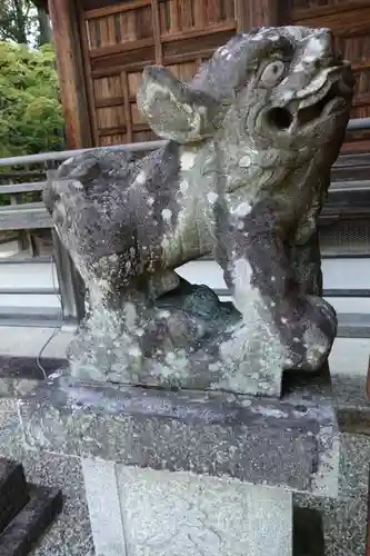 海住山寺の狛犬