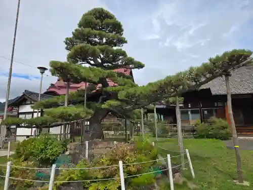 上田大神宮(長野県)
