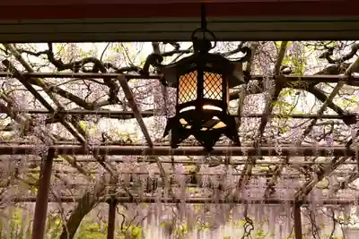 笠間稲荷神社(茨城県)