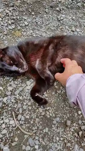 稱名寺(神奈川県)