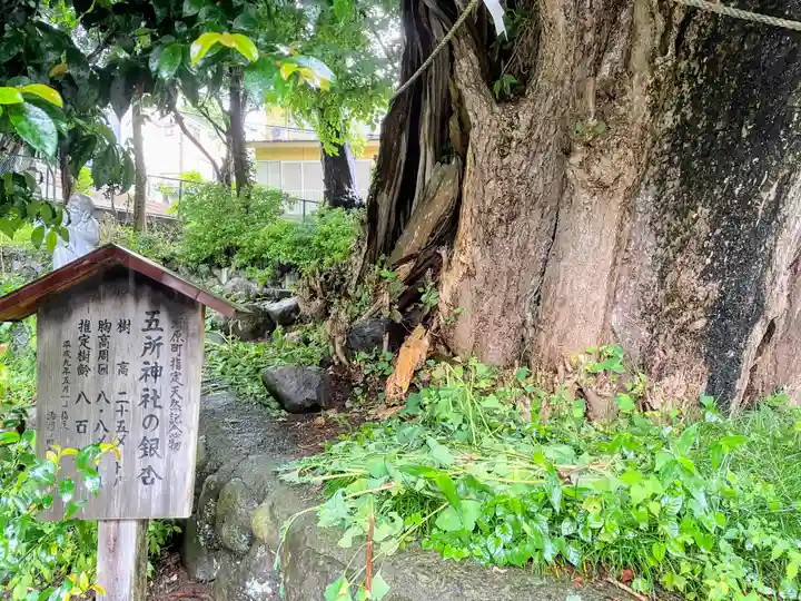 五所神社(神奈川県)