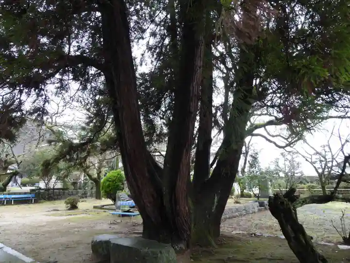 香園寺(愛媛県)