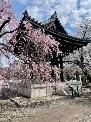 吉祥寺の{uncategorized: "未分類", other: "その他", undefined: "問題あり", building: "その他建物", grave: "お墓", sacred_gate: "鳥居", guardian: "狛犬", statue: "像", buddha: "仏像", history: "歴史", nature: "自然", garden: "庭園", animal: "動物", pagoda: "塔", temizu: "手水舎", mountain_gate: "山門・神門", sanctuary: "本殿・本堂", subordinate: "末社・摂社", art: "芸術", scenery: "景色", jizo: "地蔵", ema: "絵馬", goshuin: "御朱印", omikuji: "おみくじ", items: "授与品その他", amulet: "お守り", goshuincho: "御朱印帳", eats: "食事", festival: "お祭り", votive_dance: "神楽", shichigosan: "七五三参", wedding: "結婚式", experience: "体験その他", initially: "初詣", around: "周辺", anti_infection: "感染症対策"}
