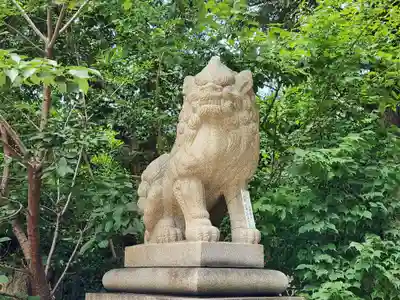 河内國魂神社の狛犬