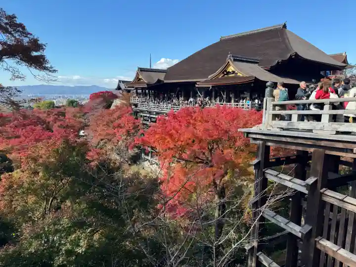清水寺の{uncategorized: "未分類", other: "その他", undefined: "問題あり", building: "その他建物", grave: "お墓", sacred_gate: "鳥居", guardian: "狛犬", statue: "像", buddha: "仏像", history: "歴史", nature: "自然", garden: "庭園", animal: "動物", pagoda: "塔", temizu: "手水舎", mountain_gate: "山門・神門", sanctuary: "本殿・本堂", subordinate: "末社・摂社", art: "芸術", scenery: "景色", jizo: "地蔵", ema: "絵馬", goshuin: "御朱印", omikuji: "おみくじ", items: "授与品その他", amulet: "お守り", goshuincho: "御朱印帳", eats: "食事", festival: "お祭り", votive_dance: "神楽", shichigosan: "七五三参", wedding: "結婚式", experience: "体験その他", initially: "初詣", around: "周辺", anti_infection: "感染症対策"}