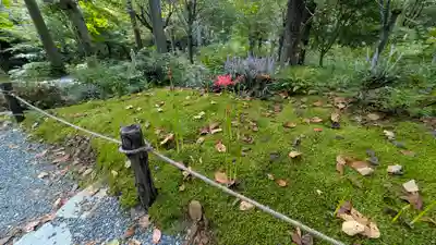 三千院門跡(京都府)