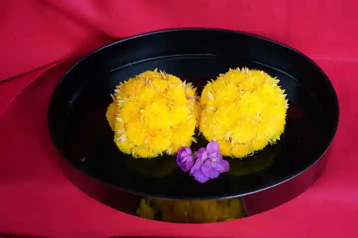 阿邪訶根神社の手水舎