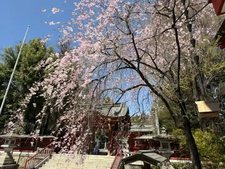 秩父神社(埼玉県)