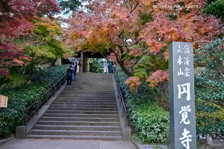 円覚寺(神奈川県)