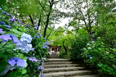 高幡不動尊　金剛寺のその他建物