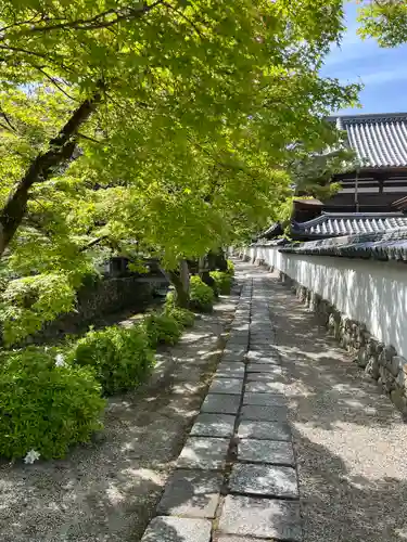 金剛寺のその他建物