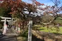 高司神社〜むすびの神の鎮まる社〜の鳥居