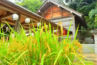 富岡八幡宮(神奈川県)