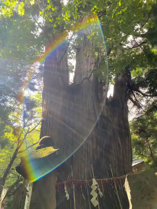 磐椅神社(福島県)