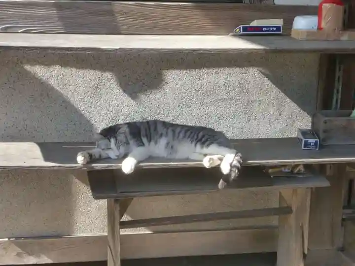 八大龍王本殿(岐阜県)