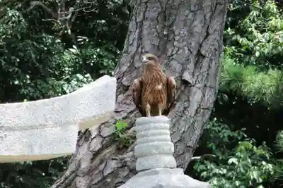 嚴島神社(山口県)