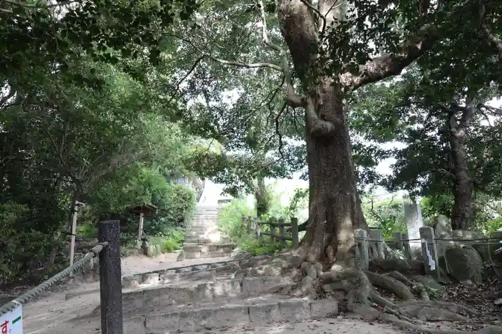 天拝神社(菅原神社)(福岡県)