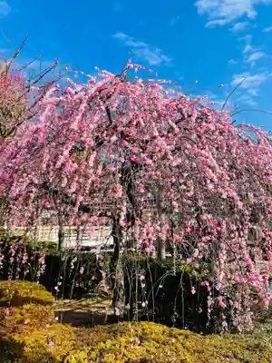 亀戸天神社(東京都)