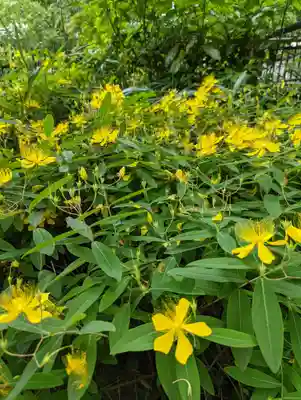 北野天満宮(京都府)