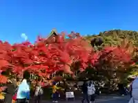 禅林寺(永観堂)(京都府)