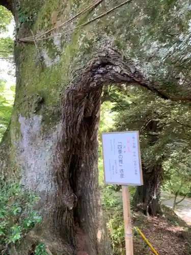 椎尾山薬王院(茨城県)