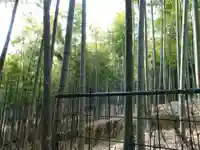 伏見神宝神社の自然