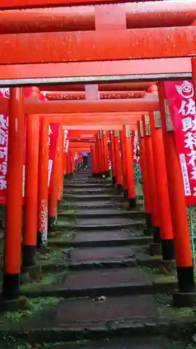 佐助稲荷神社の鳥居