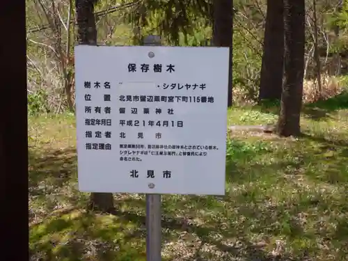 留辺蘂神社の自然