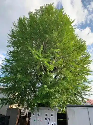 不動院(千葉県)
