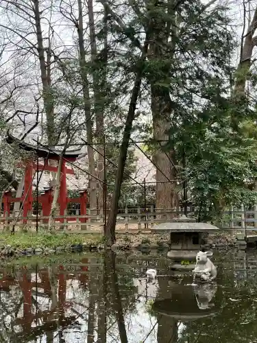 調神社の{uncategorized: "未分類", other: "その他", undefined: "問題あり", building: "その他建物", grave: "お墓", sacred_gate: "鳥居", guardian: "狛犬", statue: "像", buddha: "仏像", history: "歴史", nature: "自然", garden: "庭園", animal: "動物", pagoda: "塔", temizu: "手水舎", mountain_gate: "山門・神門", sanctuary: "本殿・本堂", subordinate: "末社・摂社", art: "芸術", scenery: "景色", jizo: "地蔵", ema: "絵馬", goshuin: "御朱印", omikuji: "おみくじ", items: "授与品その他", amulet: "お守り", goshuincho: "御朱印帳", eats: "食事", festival: "お祭り", votive_dance: "神楽", shichigosan: "七五三参", wedding: "結婚式", experience: "体験その他", initially: "初詣", around: "周辺", anti_infection: "感染症対策"}
