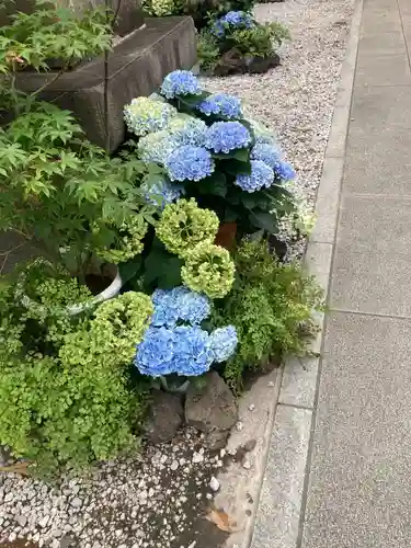 蛇窪神社(東京都)