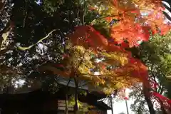 國祖神社の景色