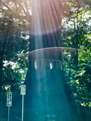 側高神社(千葉県)