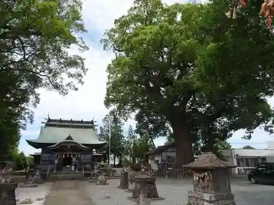 豊福阿蘇神社の建物その他