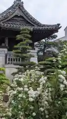 養泉寺(三重県)