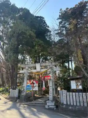 糀谷八幡宮(埼玉県)