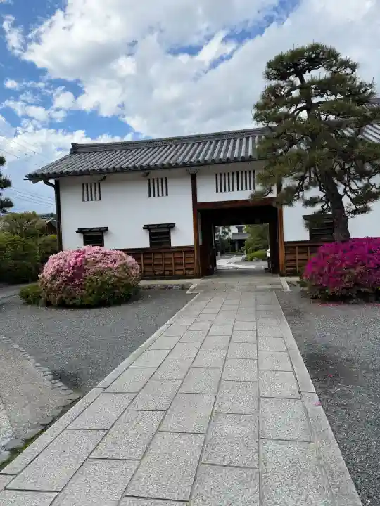 聖護院門跡の{uncategorized: "未分類", other: "その他", undefined: "問題あり", building: "その他建物", grave: "お墓", sacred_gate: "鳥居", guardian: "狛犬", statue: "像", buddha: "仏像", history: "歴史", nature: "自然", garden: "庭園", animal: "動物", pagoda: "塔", temizu: "手水舎", mountain_gate: "山門・神門", sanctuary: "本殿・本堂", subordinate: "末社・摂社", art: "芸術", scenery: "景色", jizo: "地蔵", ema: "絵馬", goshuin: "御朱印", omikuji: "おみくじ", items: "授与品その他", amulet: "お守り", goshuincho: "御朱印帳", eats: "食事", festival: "お祭り", votive_dance: "神楽", shichigosan: "七五三参", wedding: "結婚式", experience: "体験その他", initially: "初詣", around: "周辺", anti_infection: "感染症対策"}