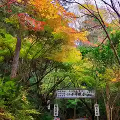 財賀寺の自然