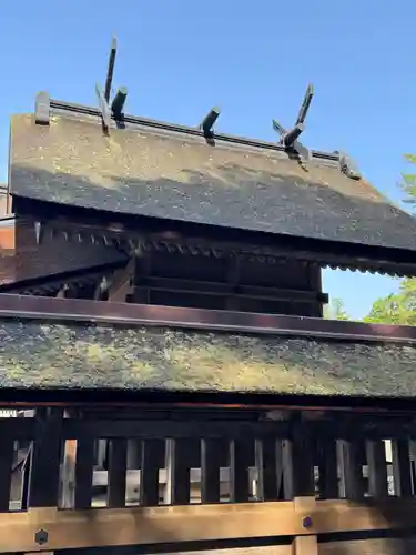 出雲大社(島根県)