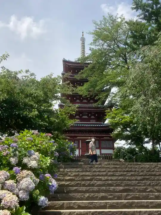 本土寺(千葉県)