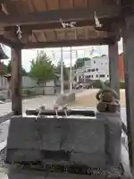 岩国白蛇神社の手水舎