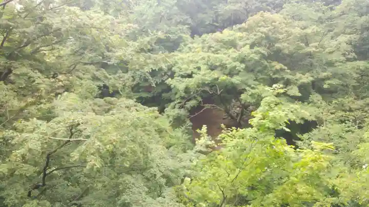 明王院(満願寺別院)の自然