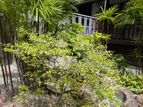崇覚寺(愛知県)