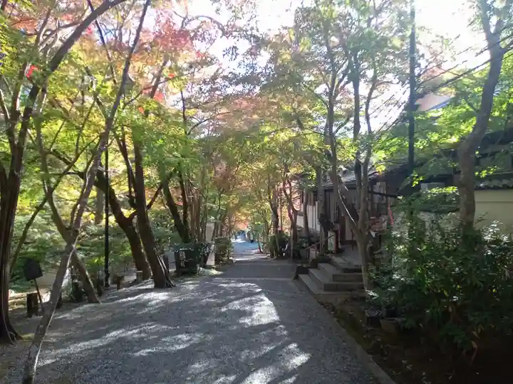 神峯山寺(大阪府)