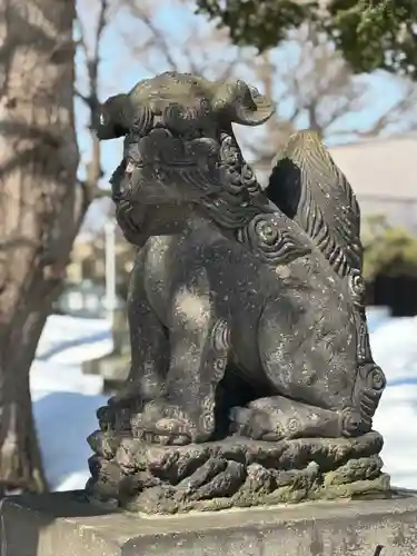 新琴似神社の狛犬